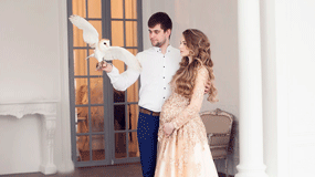 IMG_2982.gif IMG_2982.gif